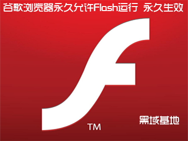 ȸFlash Ч