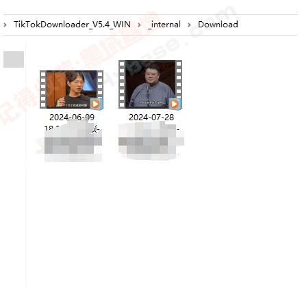 [Windows] TikTok TikTokDownloader V5.4Я